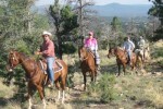 Cedar Crest Country Cottage & Stables