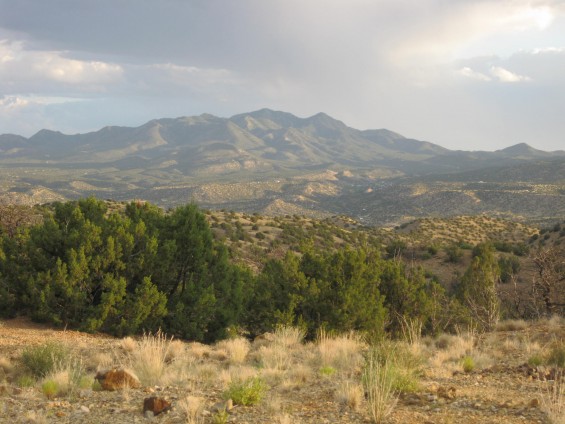 The Ortiz Mountains