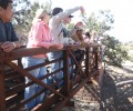 Viewing the Mine