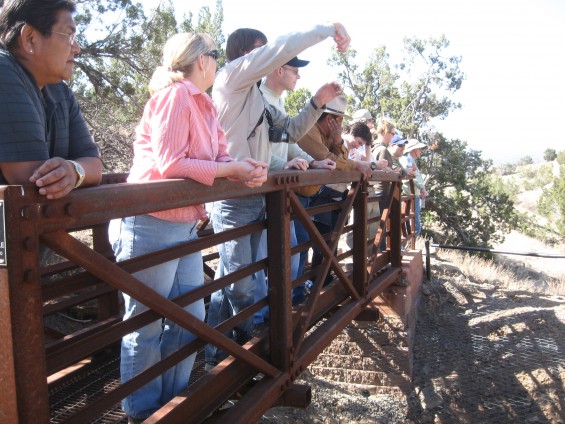 Viewing the Mine