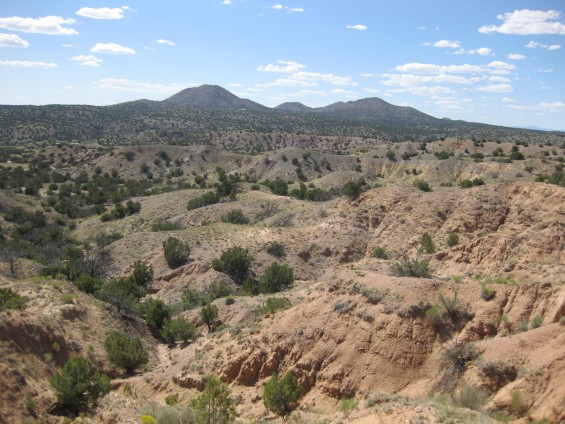 Garden of the Gods view