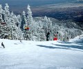 Sandia Peak Ski Area