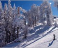 Sandia Peak Ski Area