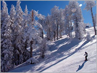 Sandia Peak Ski Area