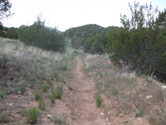 Guiterez Open Space
