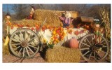 The Wagon Lady