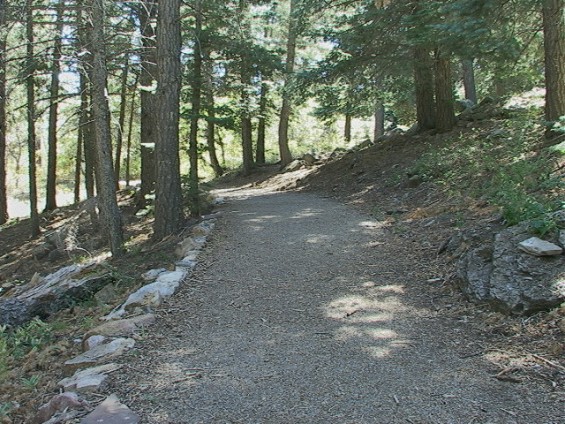 Balsum Glade Trail