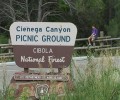 Cienega Canyon Sign