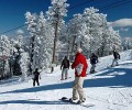 Sandia Ski Area