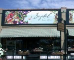 Jezebel Gallery