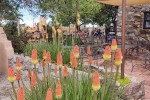 Beer Creek Brewing Co.