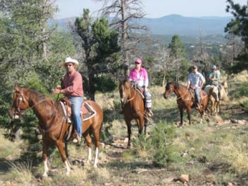 Cedar Crest Country Cottage Stables Turquoise Trail New Mexico